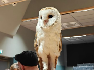 Noc sów 2026 Zapolice, 